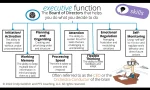 What Are the Developmental Norms for Executive Function Skills?